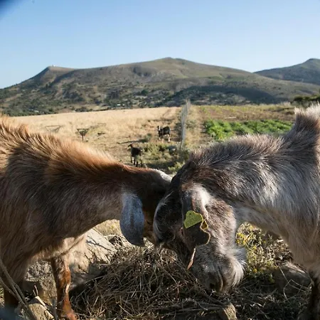 Imroz Kardamos 度假村