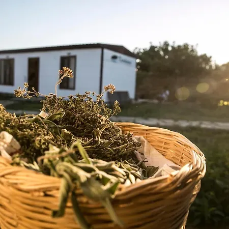 Imroz Kardamos 度假村