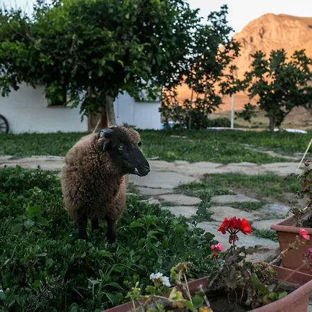 度假村 Imroz Kardamos *